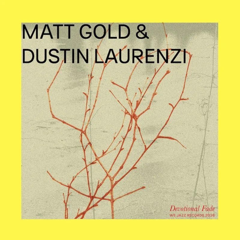 Matt Gold & Dustin Laurenzi - Devotional Fade : LP
