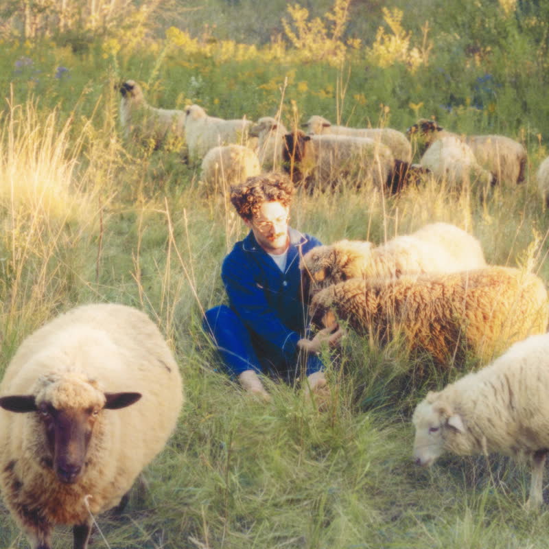 Resavoir - Themes for Dreams : LP