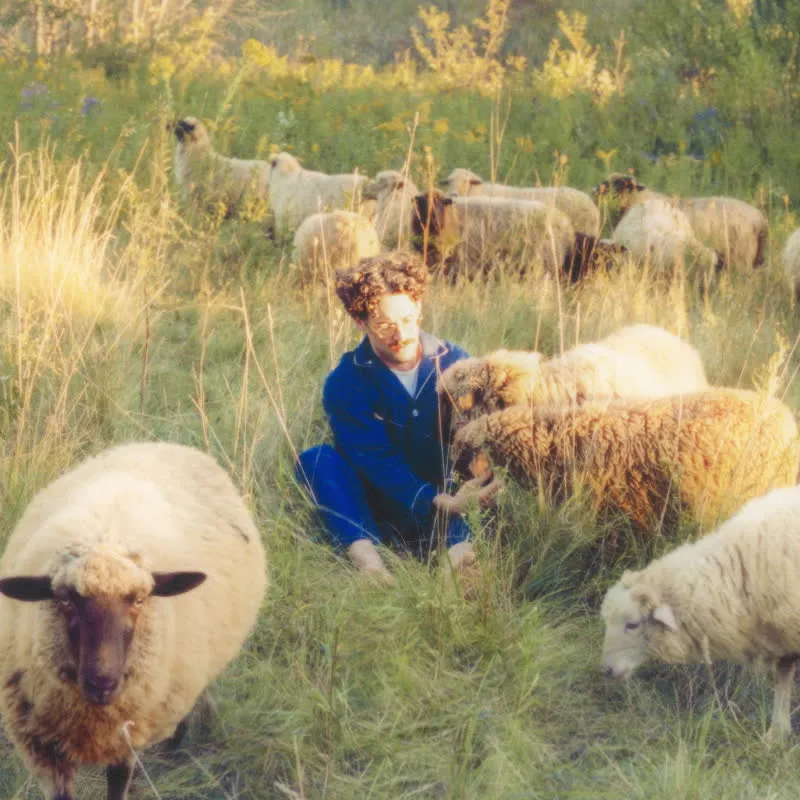 Resavoir - Themes for Dreams : LP