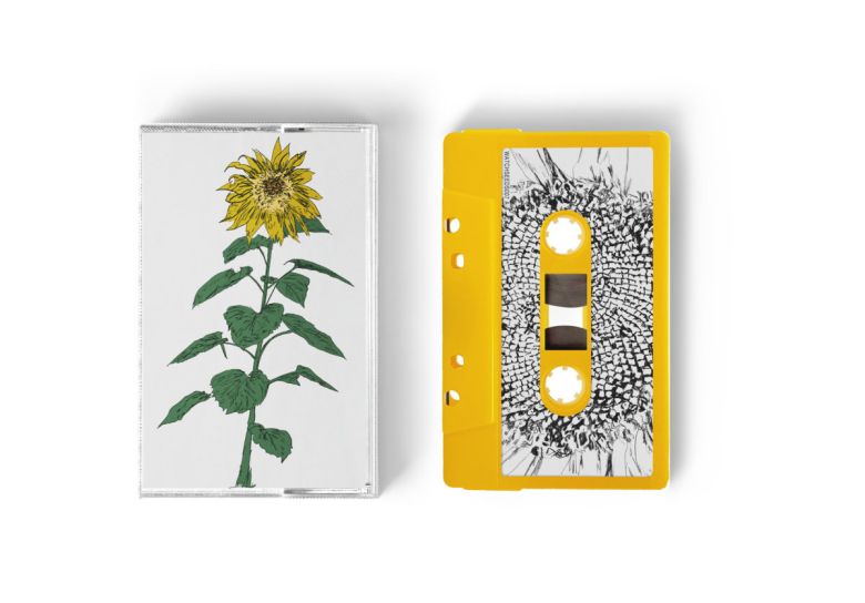Brian D'Souza / Auntie Flo - Music To Watch Seeds Grow By 007