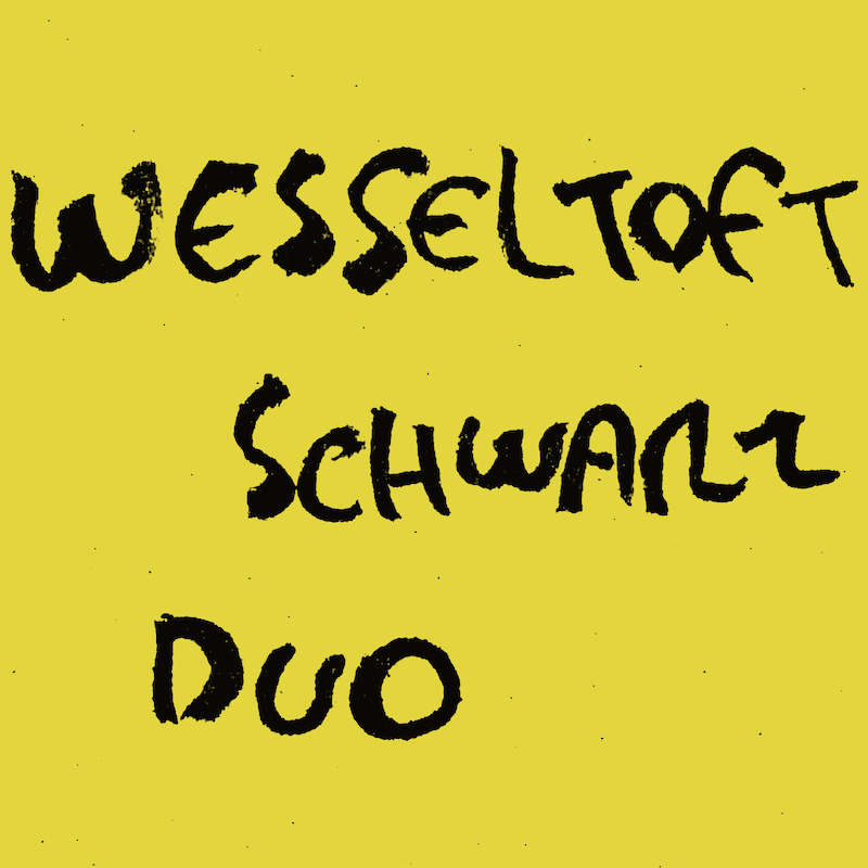 Wesseltoft & Schwarz - Duo : LP