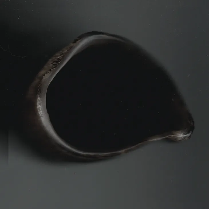 hoyah חיה - Can I Get A Chayah? : Cassette