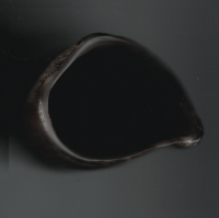 hoyah חיה - Can I Get A Chayah?