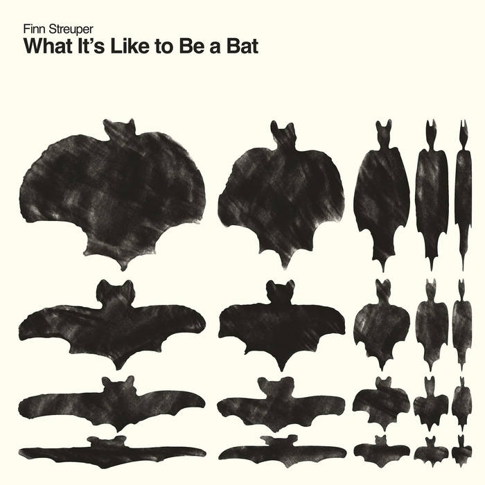 Finn Streuper - What It’s Like to Be a Bat : LP