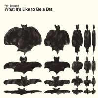 Finn Streuper - What It’s Like to Be a Bat