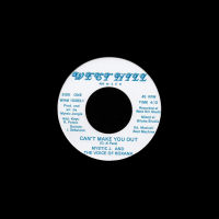 Mystic Jungle And The Voice Of Roxana - Can't Make You Out / Mountain River