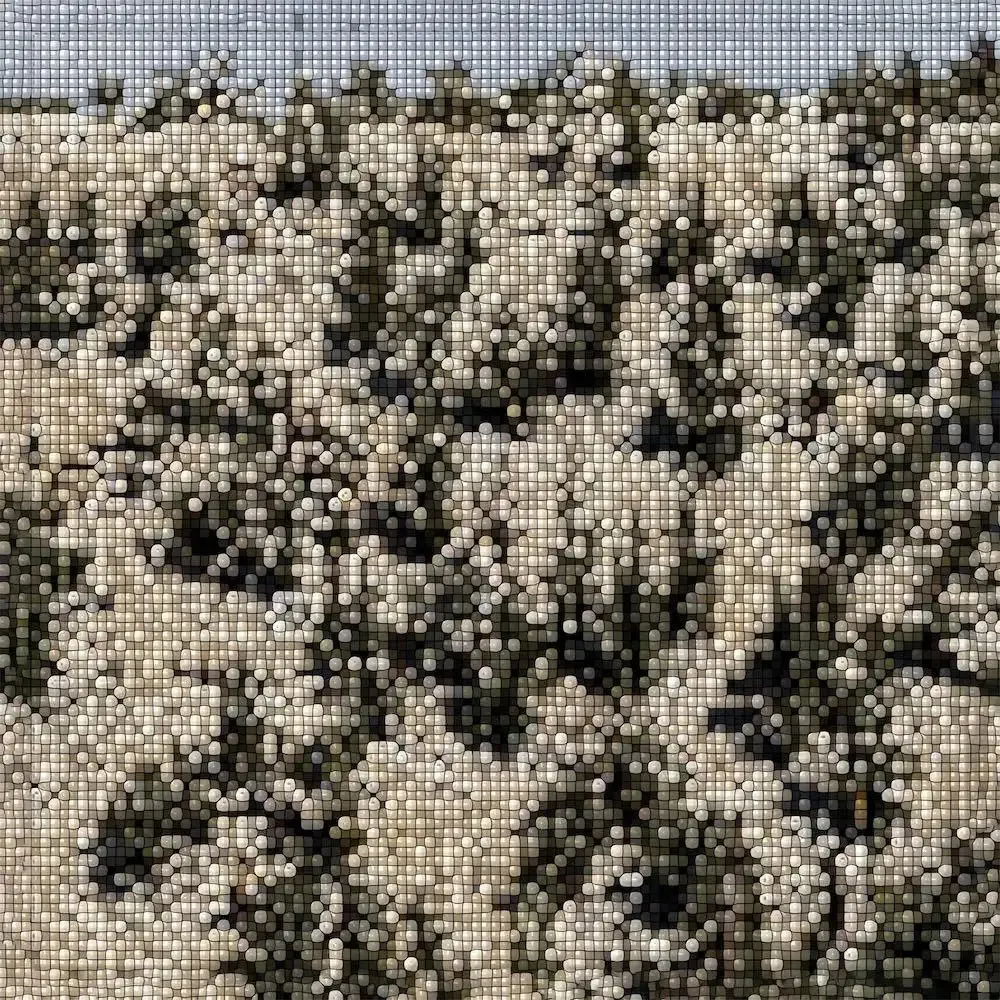 Gregory Uhlmann - Extra Stars : LP