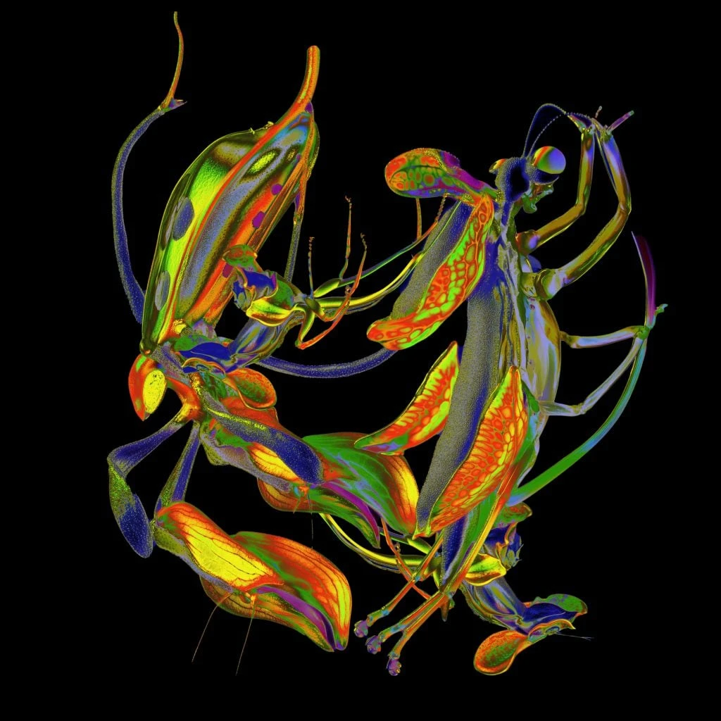 DJ Nobu - Shō : 12inch