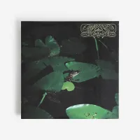 Crespi Drum Syndicate - Colada Talk