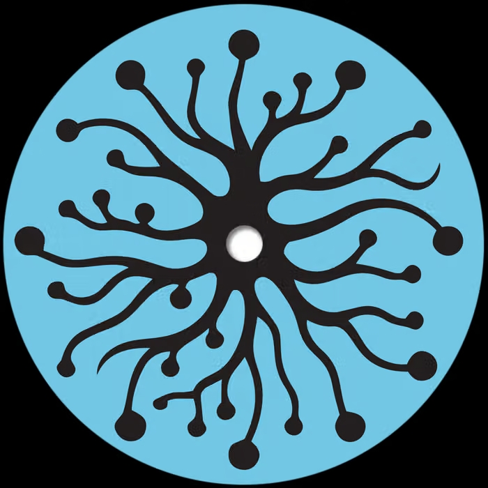 Mattias El Mansouri - Sense Data : 12inch