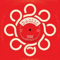 レコードショップ NEWTONE RECORDS:輸入レコード通販サイト