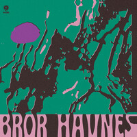Bror Havnes - De Som Vet