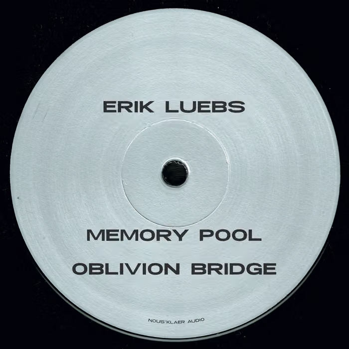 Erik Luebs - Reversing Time : 12inch