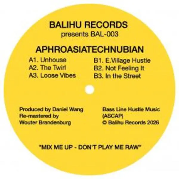 Daniel Wang - Aphroasia Technubian : 12inch
