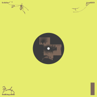 Kvisha - walking shoe