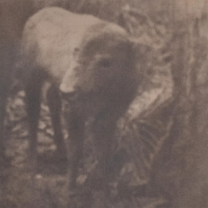 Gustav Kemps - Lonesome For A Storm : Tape