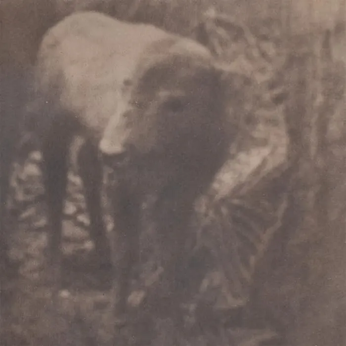 Gustav Kemps - Lonesome For A Storm : Tape