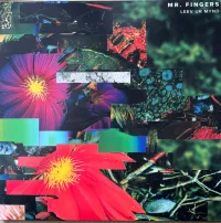 Mr. Fingers - Leev Ur Mynd