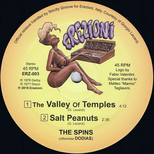 The Spins - The Valley Of Temples [official reissue] : 12inch