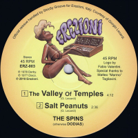 The Spins - The Valley Of Temples [official reissue]
