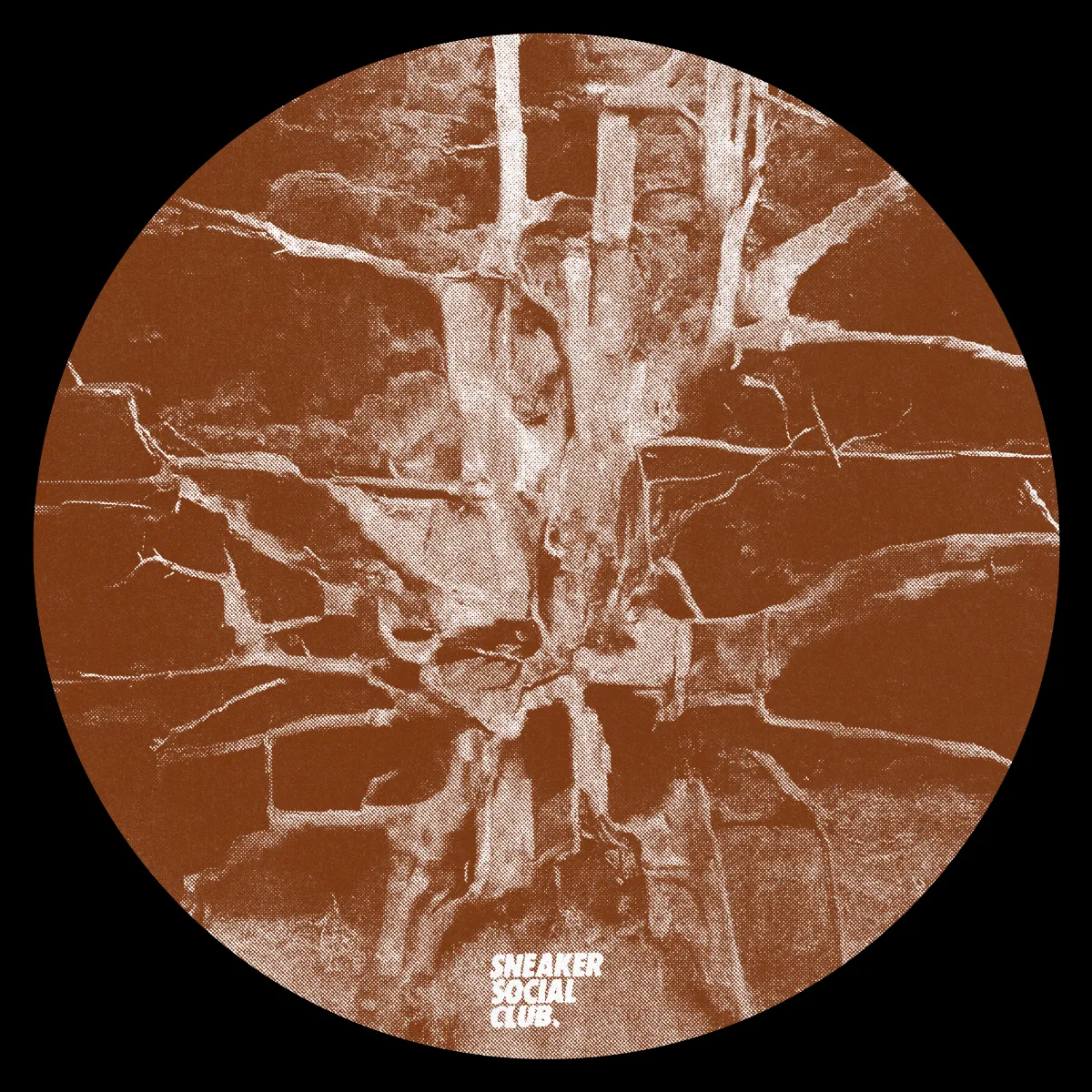 Buckley - Carl's Floorboard : 12inch