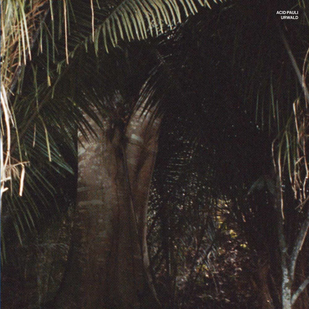 Acid Pauli - Urwald : 12inch