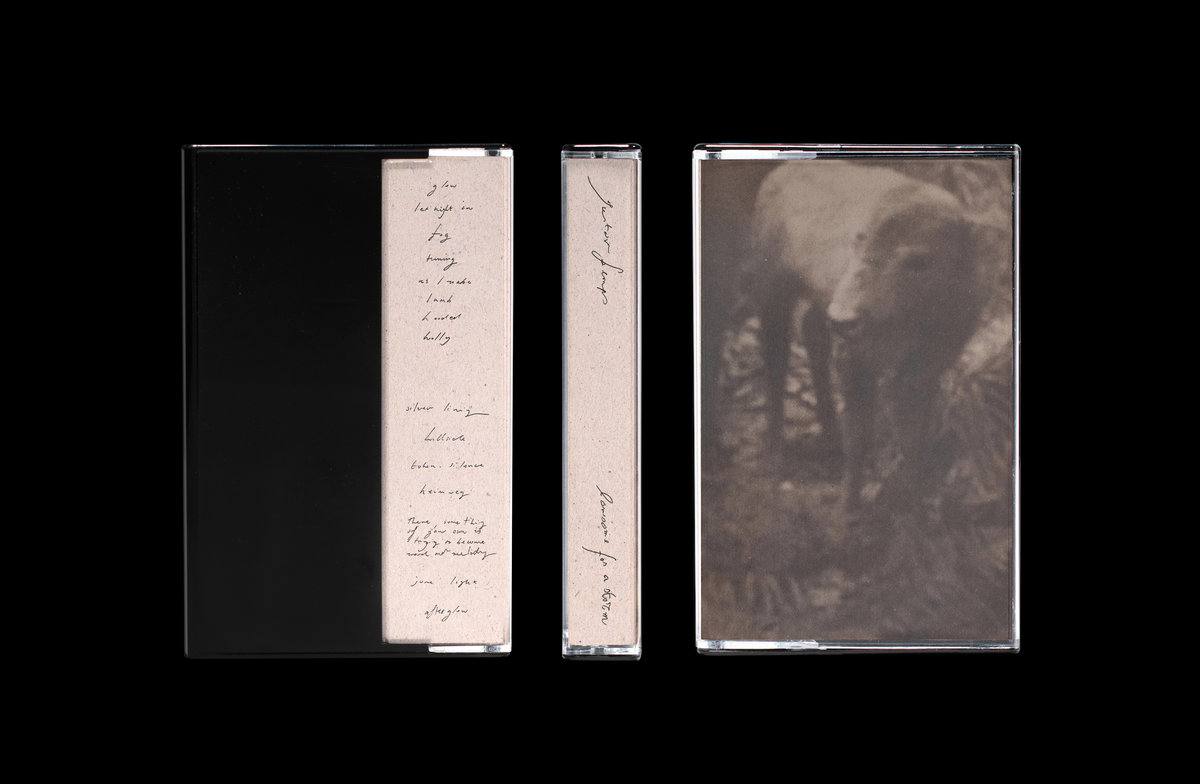 Gustav Kemps - Lonesome For A Storm : Tape