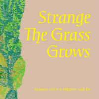 Seamus Cater & Fredrik Rasten - Strange The Grass Grows