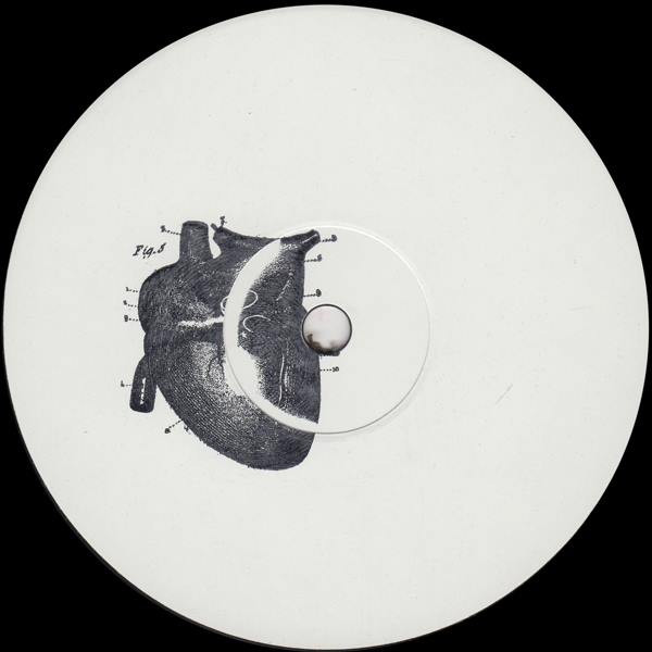 Micawber - Fasma \ Yenbashu : 12inch
