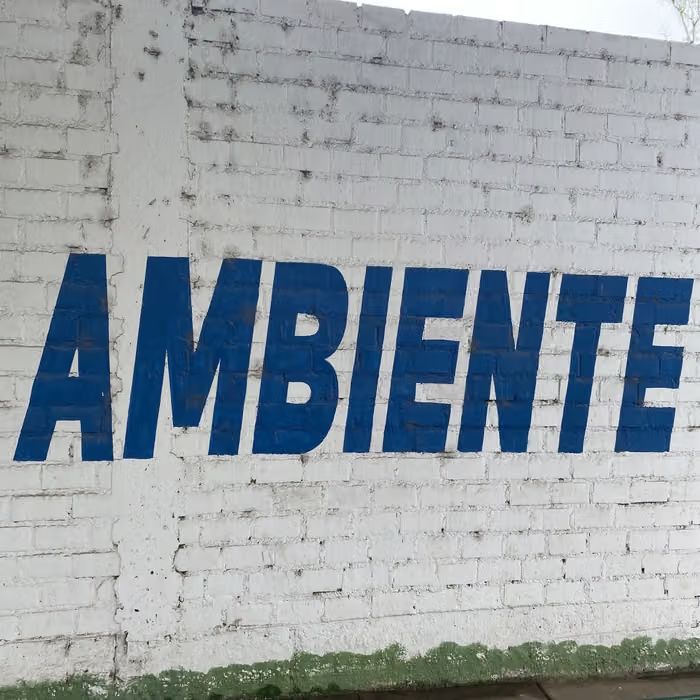 Jex Opolis - Ambiente : LP