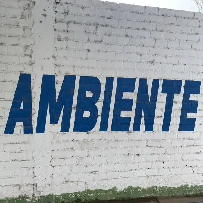 Jex Opolis - Ambiente : LP