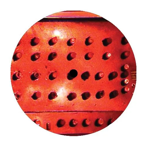 Digidub ft Julian Fairshar - A Tribute to Julian Fairshare : 10inch