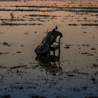 Yuki Nakagawa - Stills and Remains