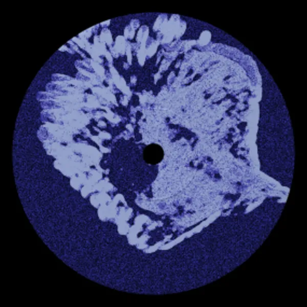 Réti Virág - Peremidő : 12inch