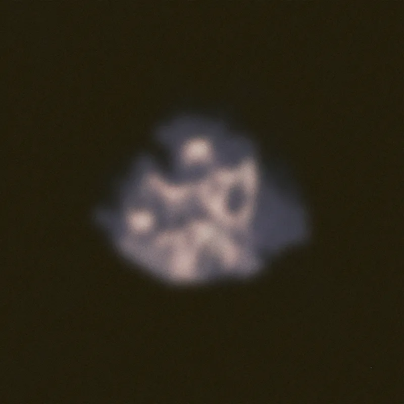R.O.W.S. - 6.05 : LP