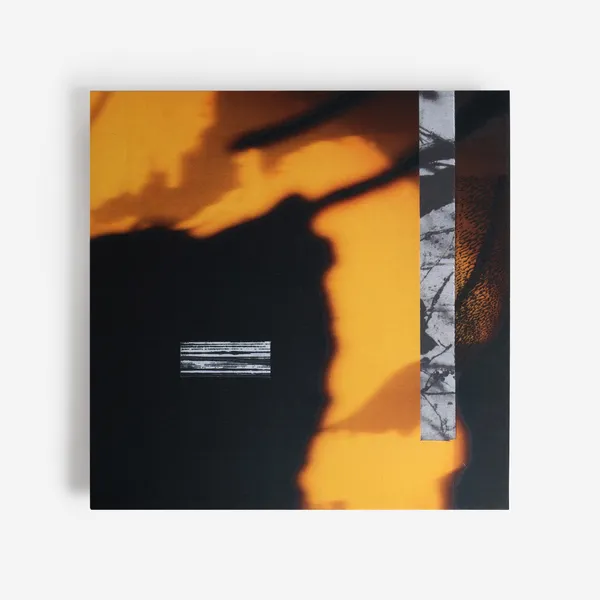 Memotone - Warm Shadows : LP