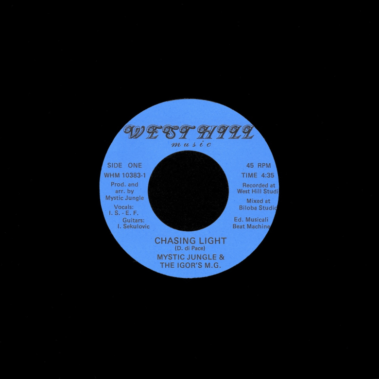 レコードショップ NEWTONE RECORDS:輸入レコード通販サイト