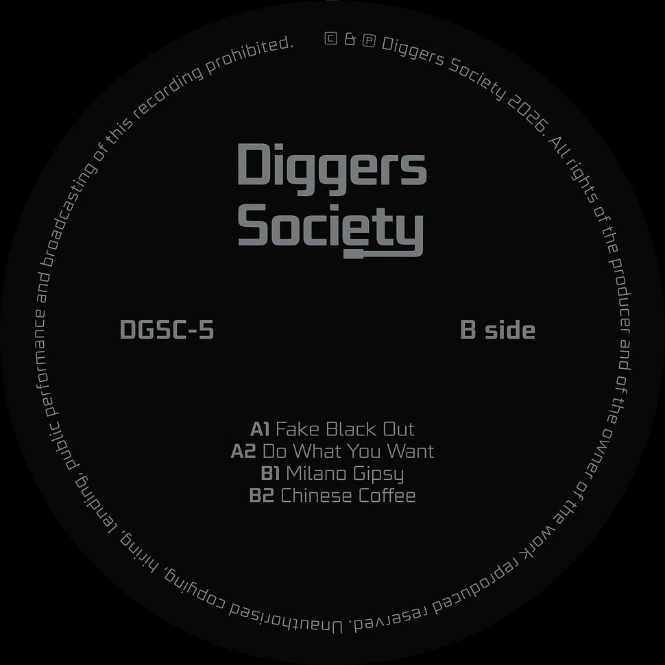 The Analogue Cops - CH In A Gipsy World : 12inch