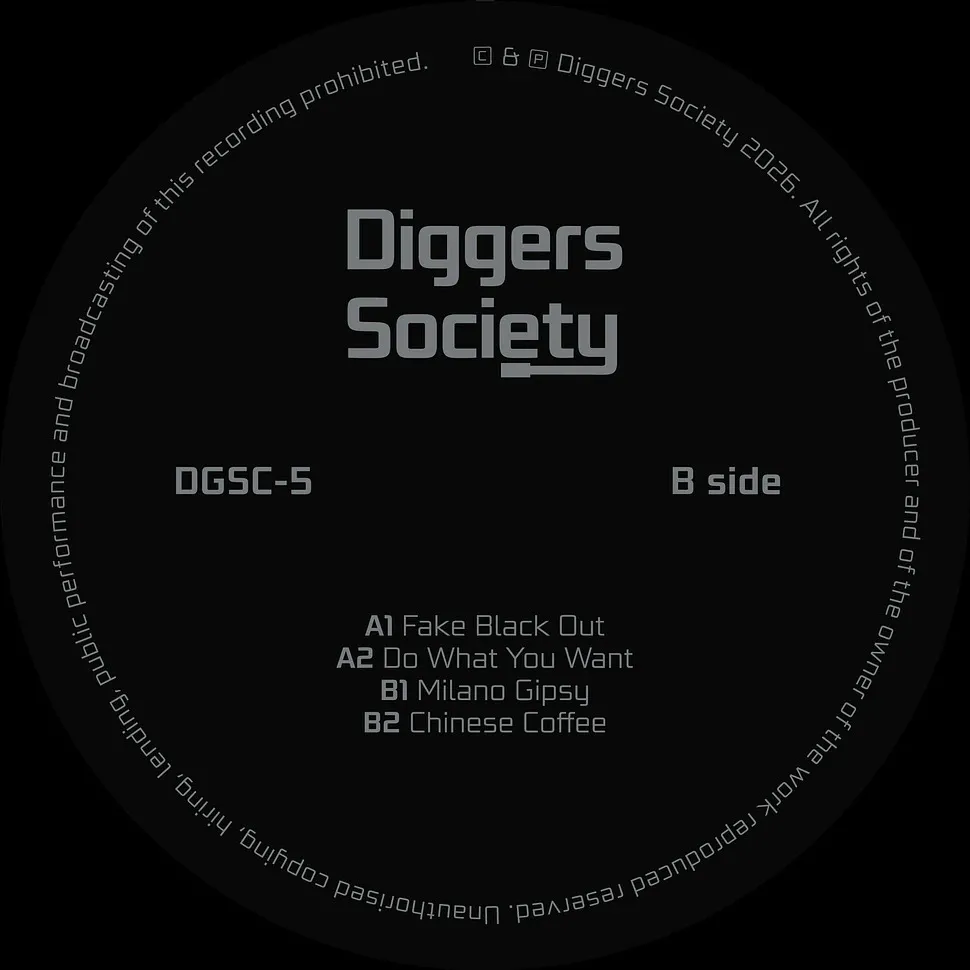 The Analogue Cops - CH In A Gipsy World : 12inch
