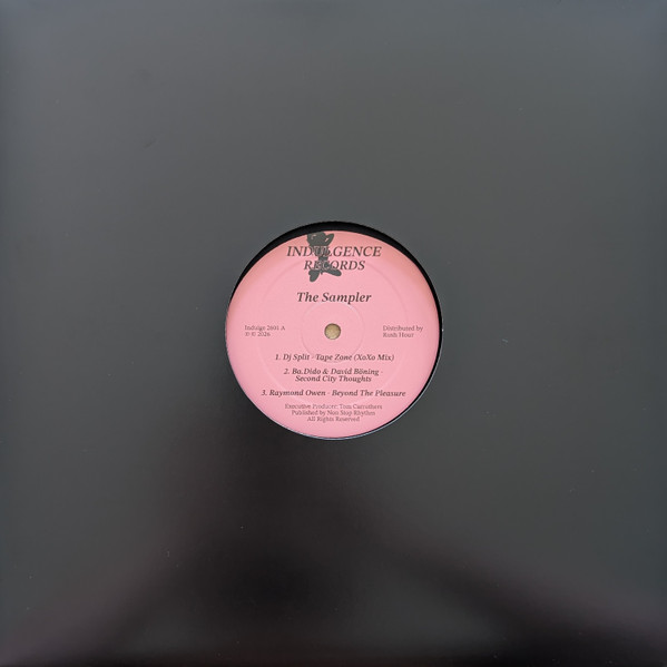 Various - The Sampler : 12inch