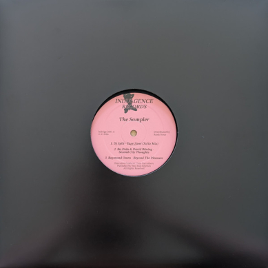Various - The Sampler (Vinyl) | NEWTONE RECORDS