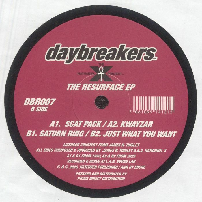 The Nathaniel X Project - The Resurface EP : 12inch