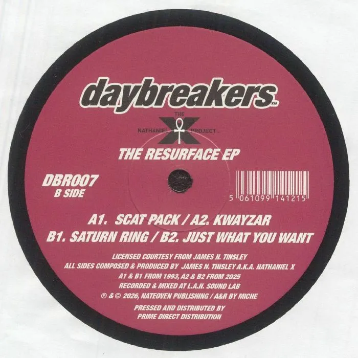 The Nathaniel X Project - The Resurface EP : 12inch