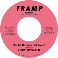 Tory Wynter - Oh Let The Rain Fall Down