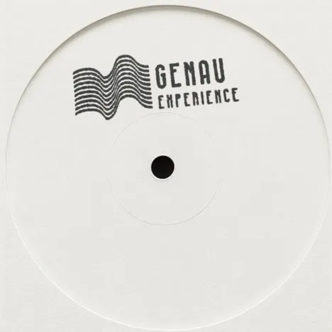 Stefano Conte - The Landing EP : 12inch