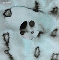 Amir Alexander - The Event Horizon