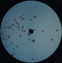 Hubble - Floating Souls