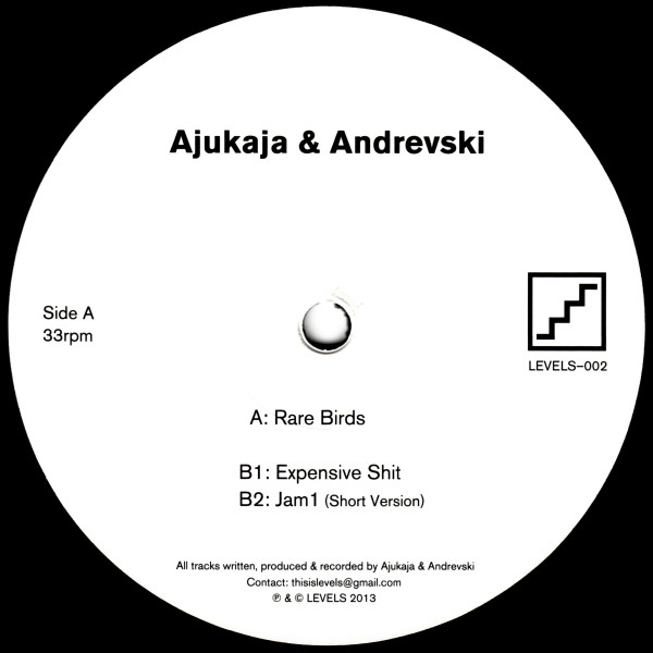 Ajukaja & Andrevski - Rare Birds : 12inch
