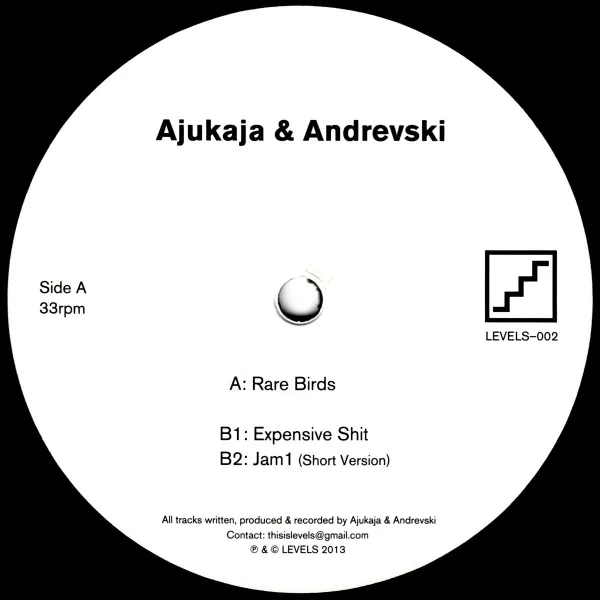 Ajukaja & Andrevski - Rare Birds : 12inch