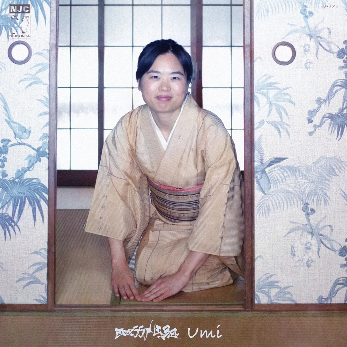 mess/age - Umi / Dubmi : 7inch